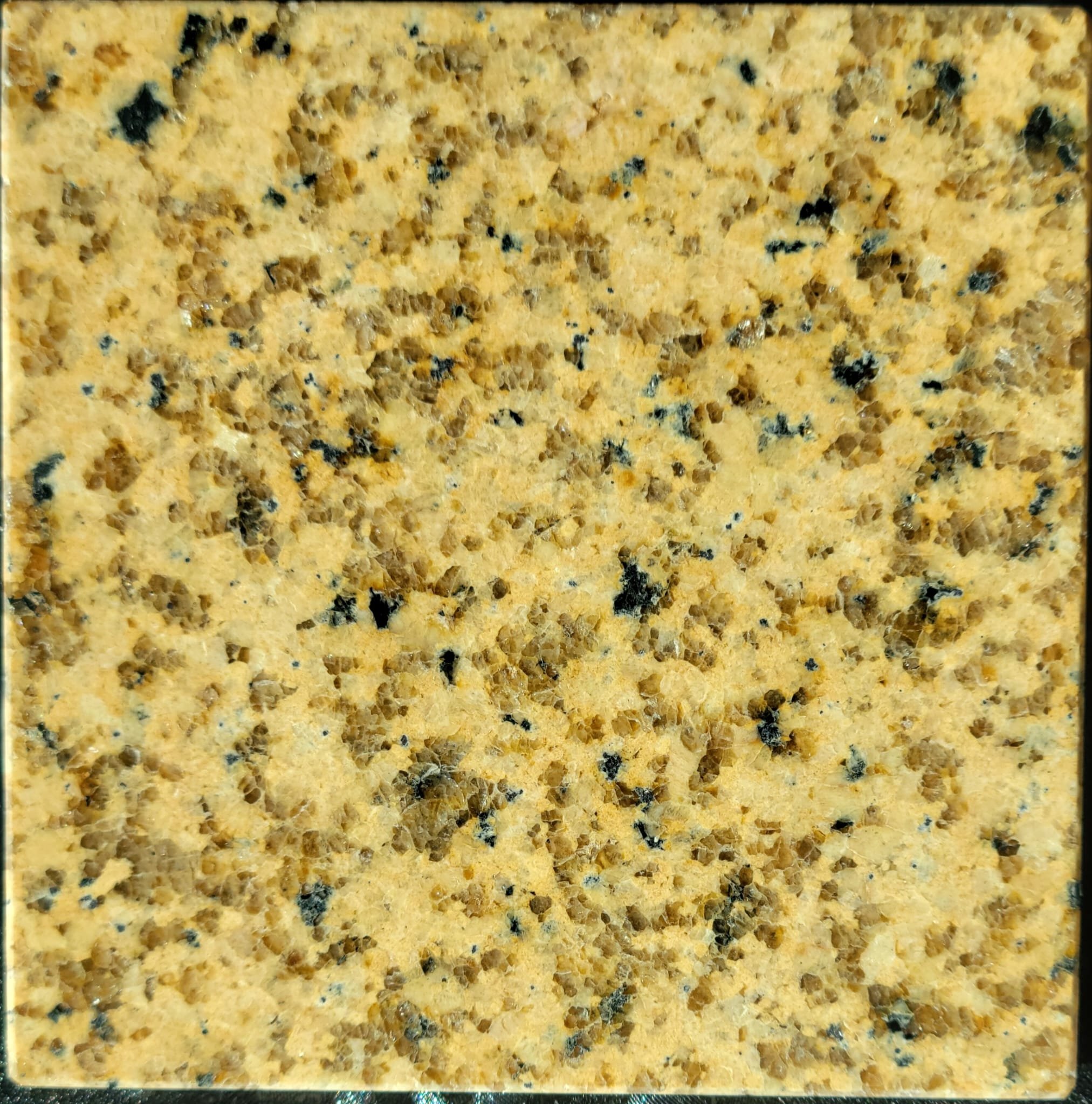 Vietnam Granite Binh Dinh Dark Gold Sample