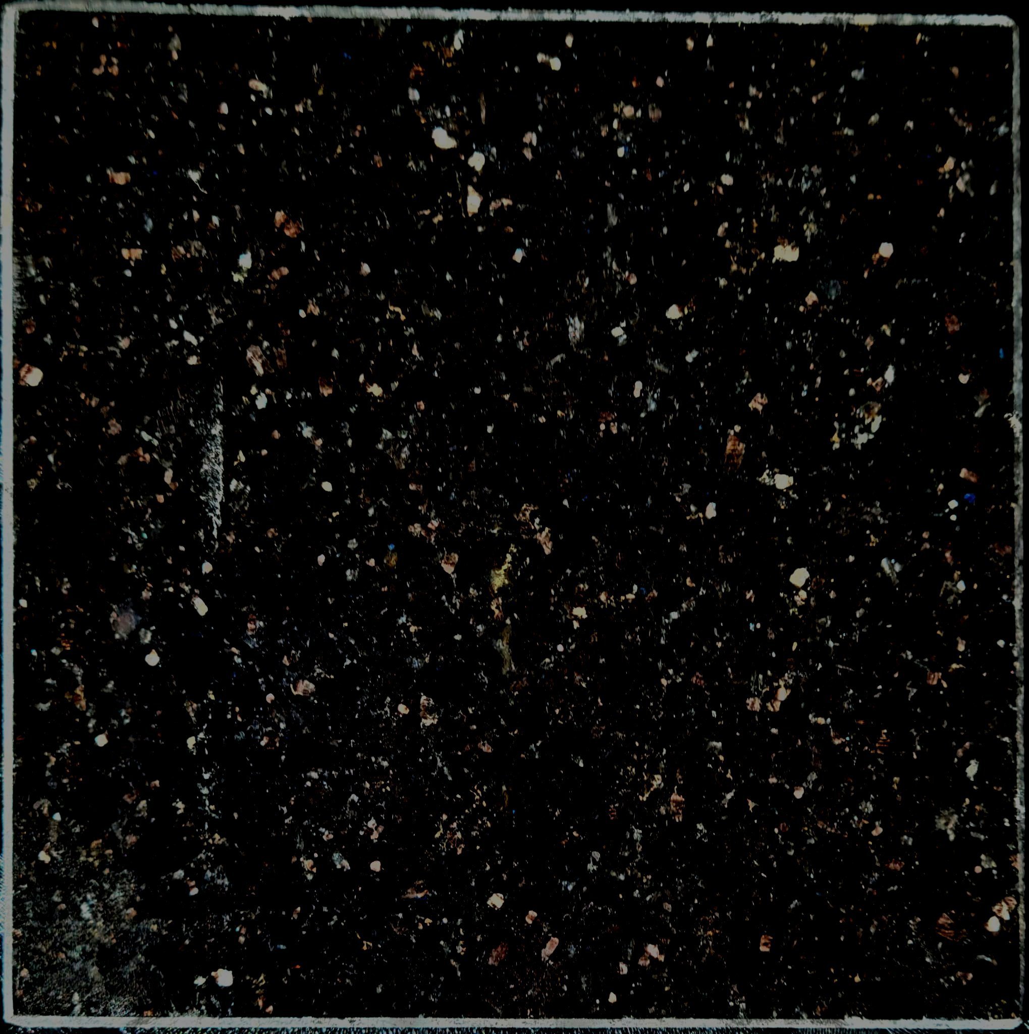 Vietnam Imported Granite Arnica Seeds/Black Galaxy(tiny flag) Sample detail