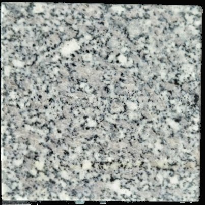 VG2006BD Binh Dinh White Vietnam Granite Sample