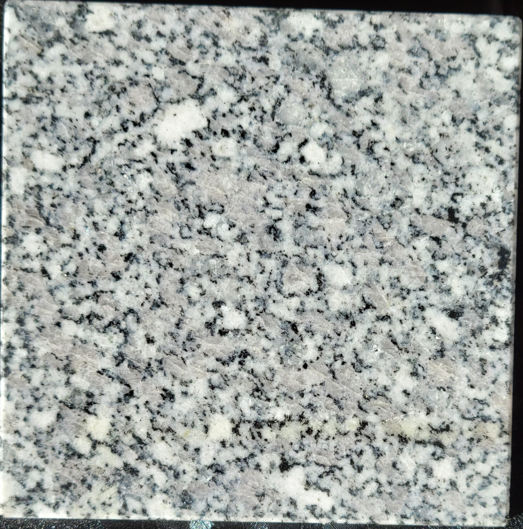 Vietnam Granite Binh Dinh White Sample