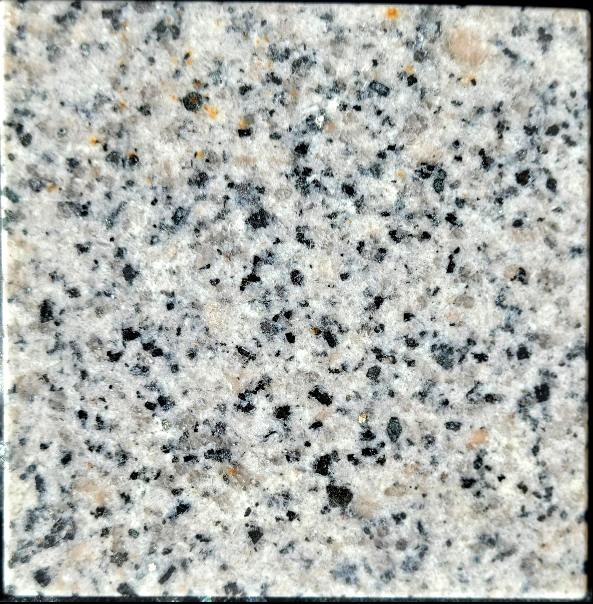 Vietnam Granite VG2012 Bronze Cream Sample