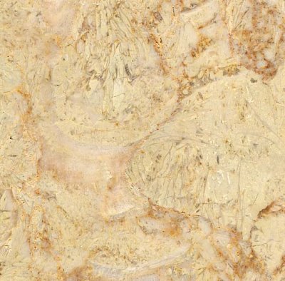 Italy Marble, Color : New Perlato SvevoSample